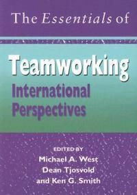 Cover image for The Essentials of International Teamworking: International Perspectives