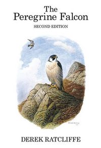 Cover image for The Peregrine Falcon