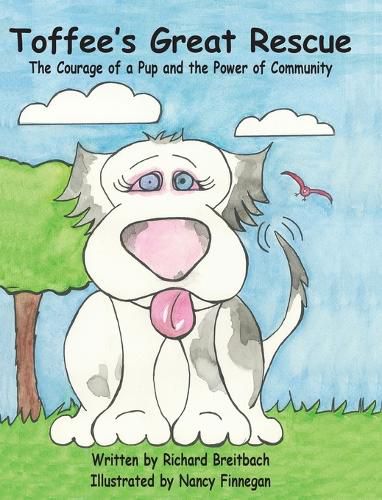 Cover image for Toffee's Great Rescue