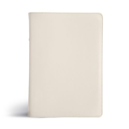 Cover image for CSB She Reads Truth Bible, Holman Handcrafted Collection, Blonde Premium Calfskin