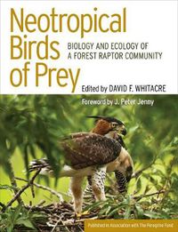 Cover image for Neotropical Birds of Prey: Biology and Ecology of a Forest Raptor Community