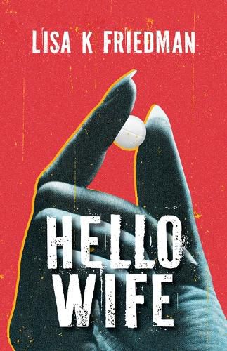 Cover image for Hello Wife