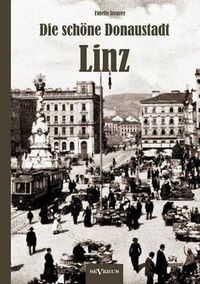 Cover image for Die schoene Donaustadt Linz. Historischer Reisefuhrer von 1924 in 33 Photographien