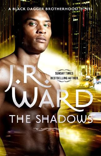 Cover image for The Shadows: Number 13 in series