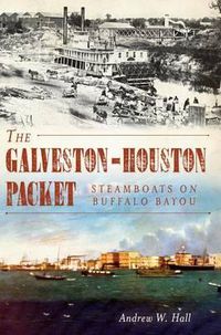 Cover image for The Galveston-Houston Packet: Steamboats on Buffalo Bayou