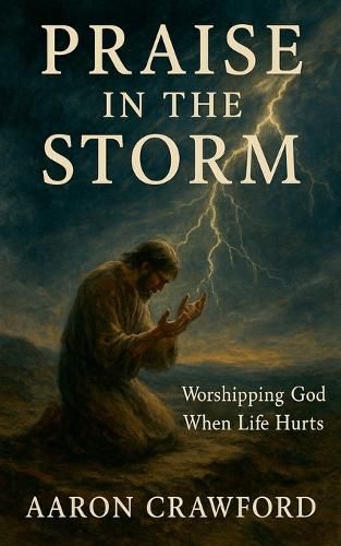 Cover image for Praise in the Storm