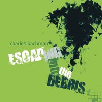 Cover image for Escaping Into the Debris