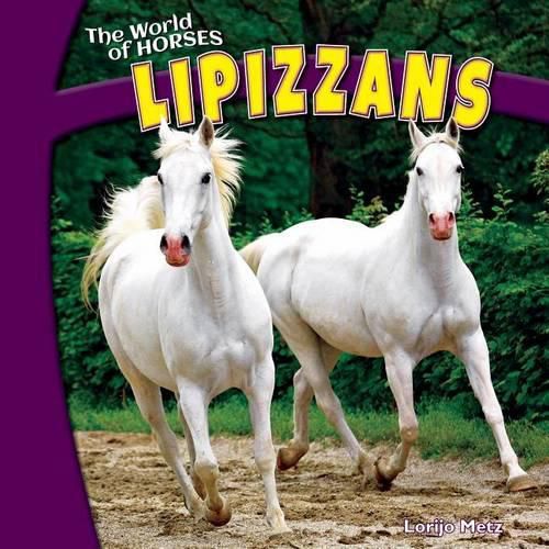 Cover image for Lipizzans