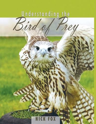 Cover image for Understanding the Bird of Prey