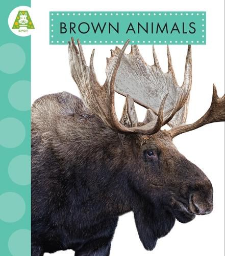 Cover image for Brown Animals