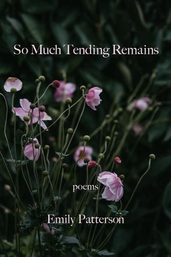 Cover image for So Much Tending Remains