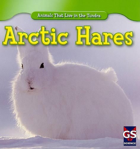 Arctic Hares