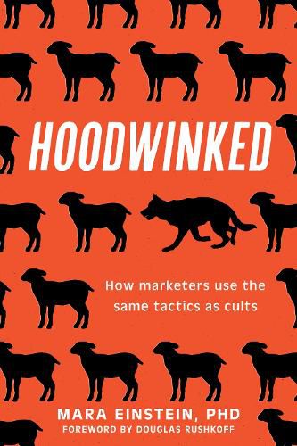 Cover image for Hoodwinked