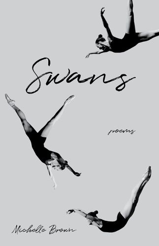 Cover image for Swans