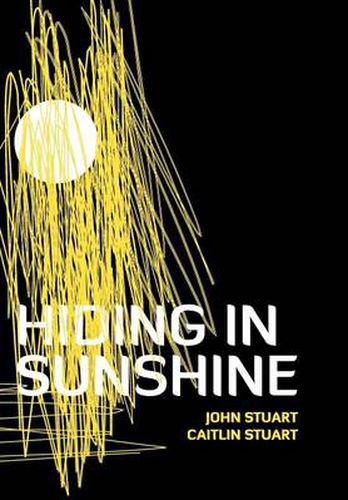 Cover image for Hiding in Sunshine