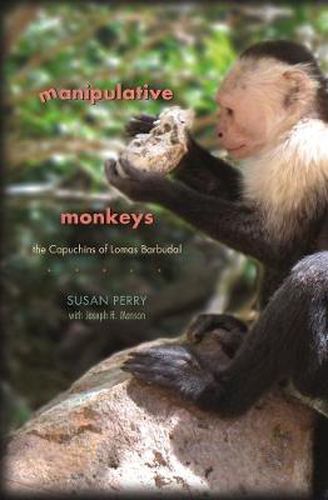 Cover image for Manipulative Monkeys: The Capuchins of Lomas Barbudal