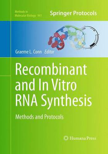 Cover image for Recombinant and In Vitro RNA Synthesis: Methods and Protocols