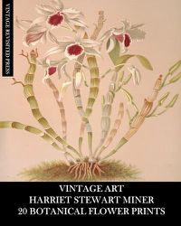 Cover image for Vintage Art: Harriet Stewart Miner: 20 Botanical Flower Prints: Orchid Ephemera for Framing, Home Decor and Collages