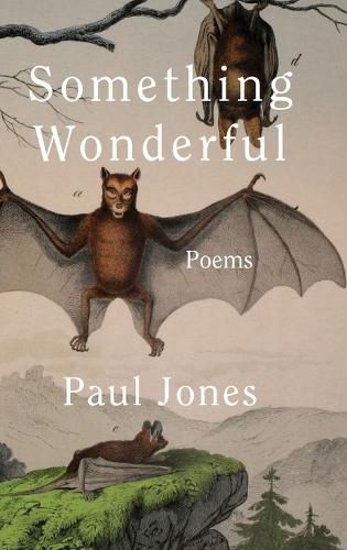 Cover image for Something Wonderful