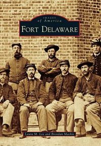 Cover image for Fort Delaware