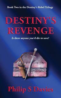 Cover image for Destiny's Revenge