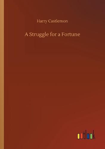 Cover image for A Struggle for a Fortune