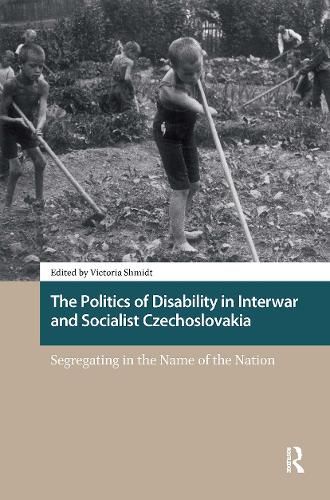 Cover image for The Politics of Disability in Interwar and Socialist Czechoslovakia
