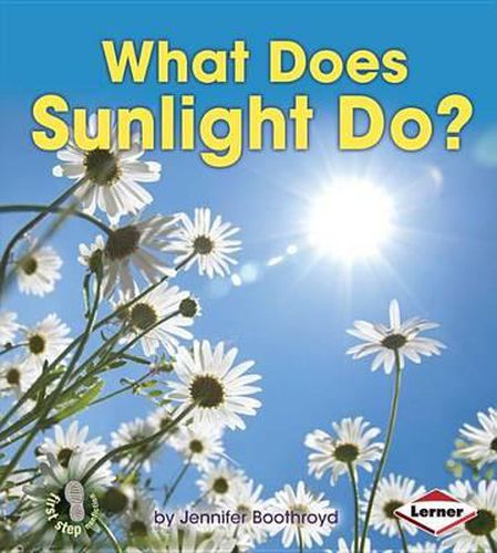 Cover image for What Does Sunlight Do?