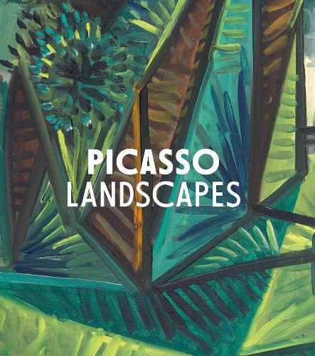 Cover image for Picasso Landscapes: Out of Bounds