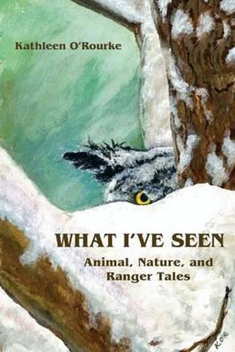 Cover image for What I've Seen: Animal, Nature, and Ranger Tales