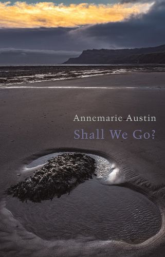 Cover image for Shall We Go?