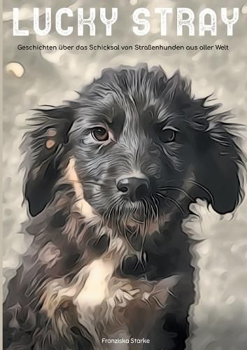 Cover image for Lucky stray