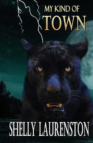 Cover image for My Kind of Town