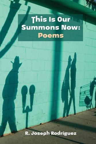 Cover image for This Is Our Summons Now: Poems