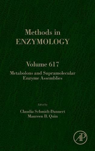 Metabolons and Supramolecular Enzyme Assemblies