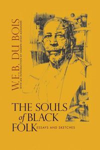 Cover image for The Souls of Black Folk: Essays and Sketches