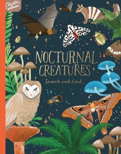 Cover image for Nocturnal Creatures Search and Find
