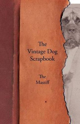 Cover image for The Vintage Dog Scrapbook - The Mastiff