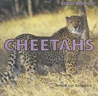 Cover image for Cheetahs