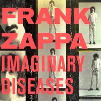Cover image for Imaginary Diseases