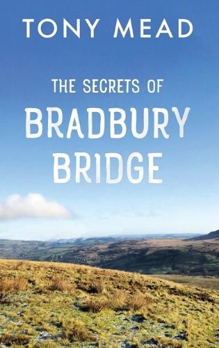 Cover image for The Secrets of Bradbury Bridge