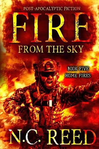 Cover image for Fire From the Sky