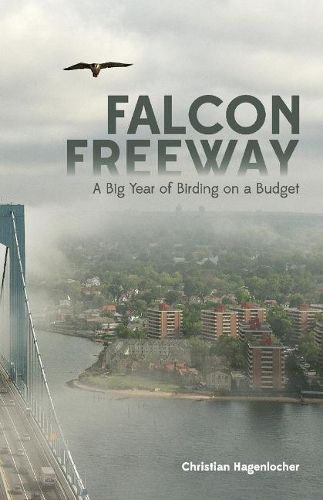 Cover image for Falcon Freeway: A Big Year of Birding on a Budget