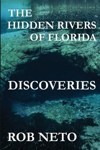 Cover image for The Hidden Rivers of Florida