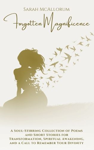 Cover image for Forgotten Magnificence