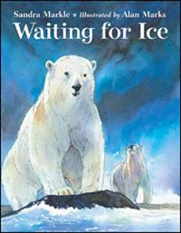 Cover image for Waiting for Ice
