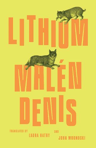 Cover image for Lithium
