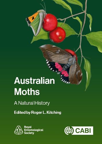 Cover image for Australian Moths