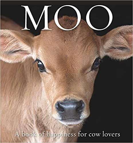 Cover image for Moo