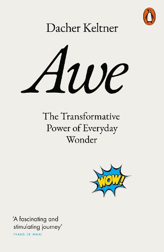 Cover image for Awe